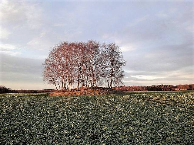 Das Hügelgrab bei Stühren an einem Wintertag.